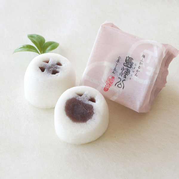 kazus様 返品お願い致します＜(_ _)＞ Cotton Voile Foil Flower Print Panel Dress | Pasand by ne